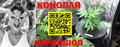 шишки Балашиха