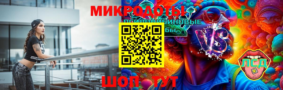 Псилоцибиновые грибы мицелий Гулькевичи